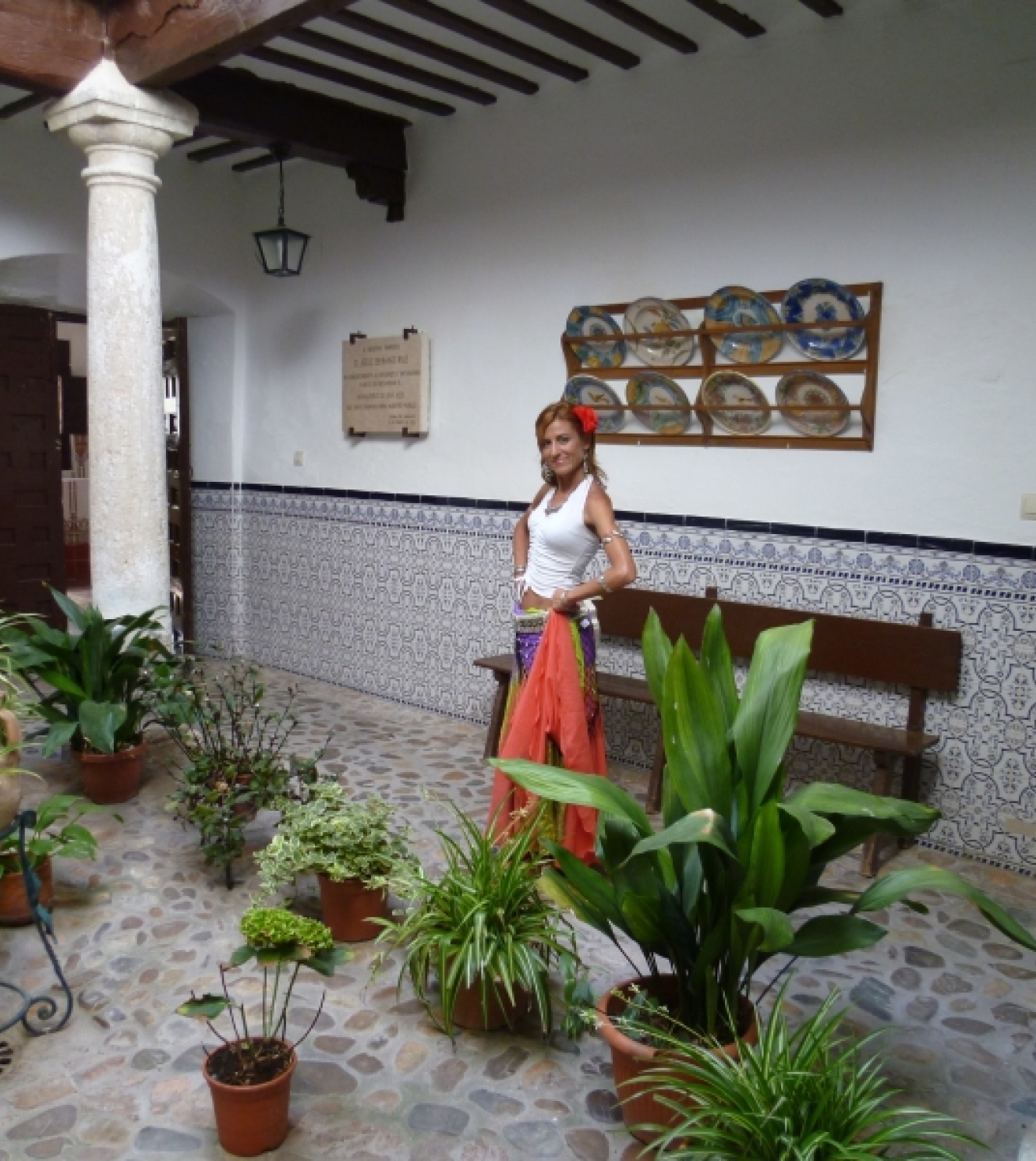 Imagen 5